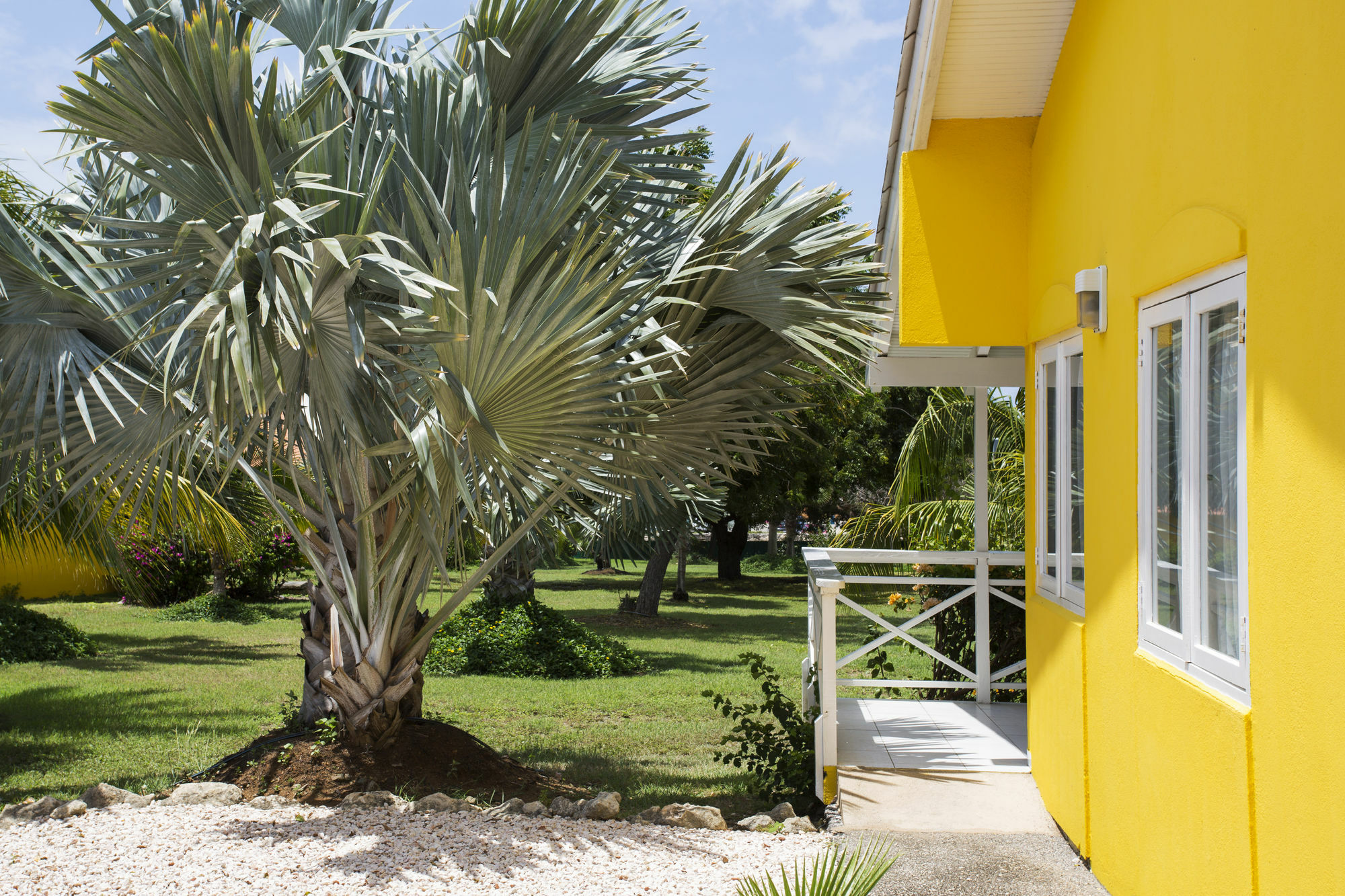 Bon Bini Resort Curacao Willemstad Luaran gambar