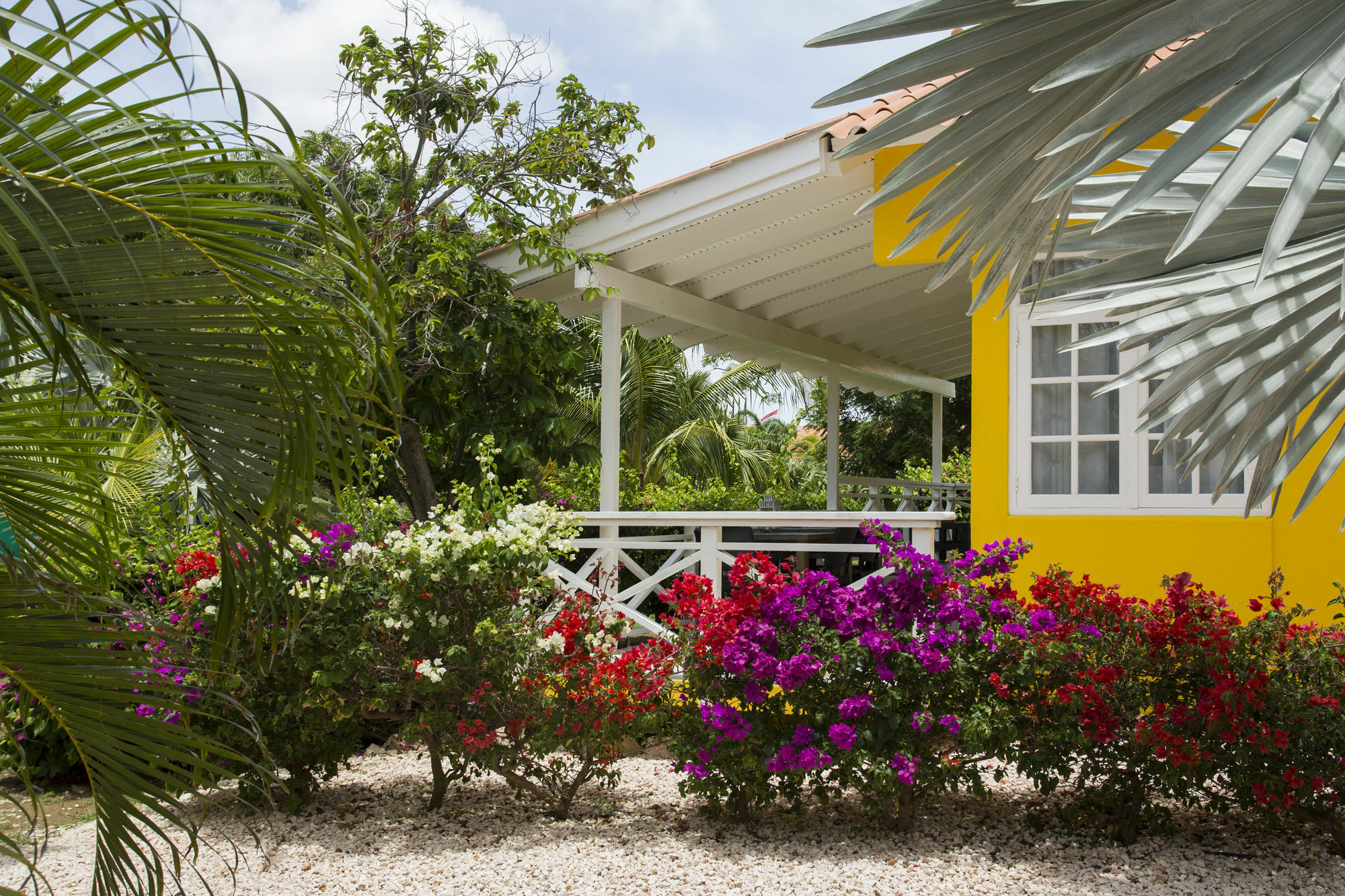 Bon Bini Resort Curacao Willemstad Luaran gambar